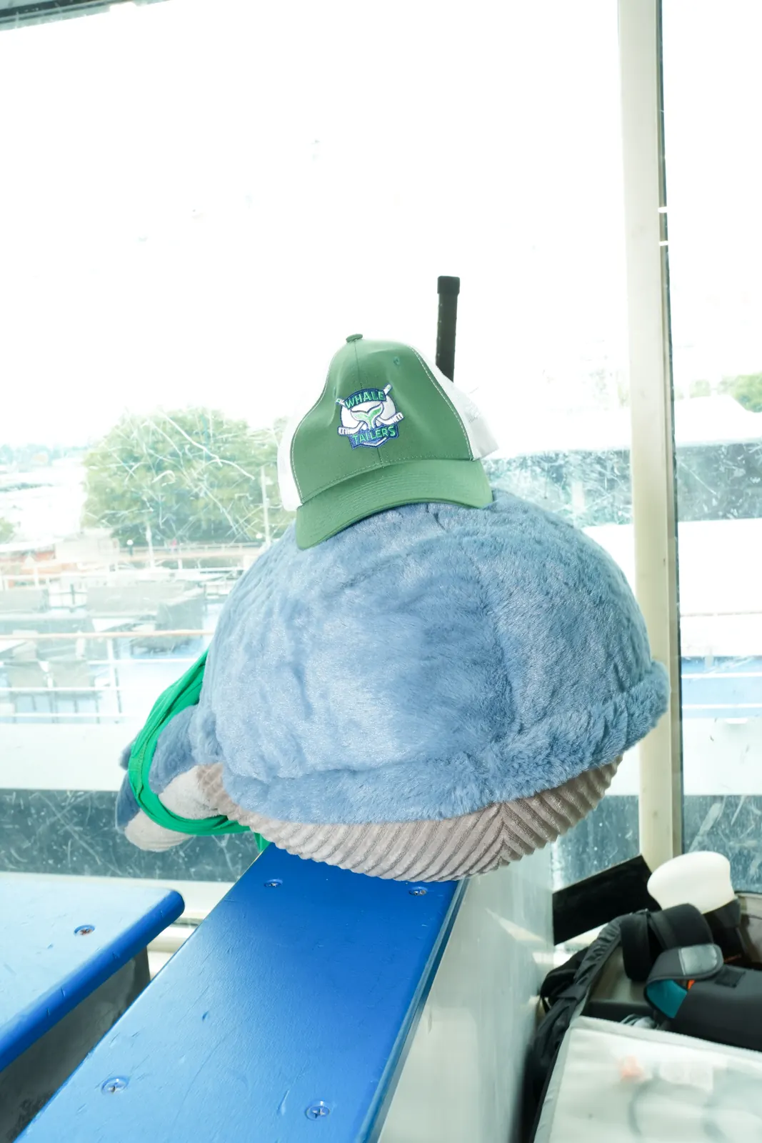 Boris the Whale, a stuffed whale in a green cap, watching from the boards